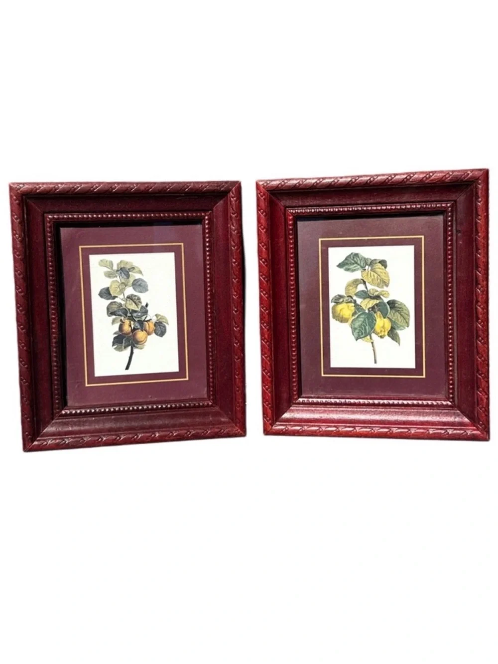 ITALIAN Set of Burgundy Decorative Wood Picture Frames with Botanical Prints 5x6